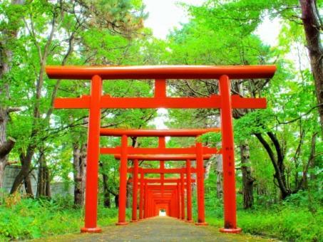 Villa Kyonoya Fushimi Inari Kyōto Exterior foto